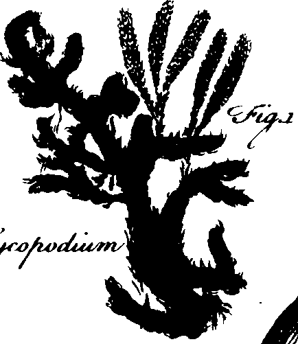 073/073070010004990_1.png