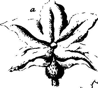073/073070010005010_0.png