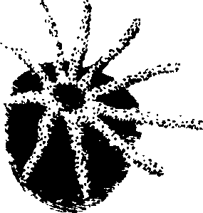 073/073070010005610_0.png