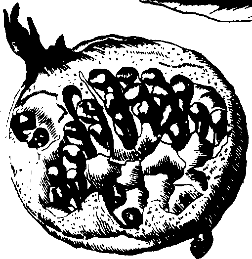 073/073070010005790_0.png