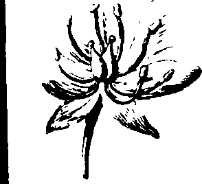 073/073070010005790_1.png