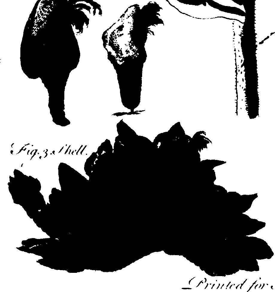 073/073070010007540_0.png