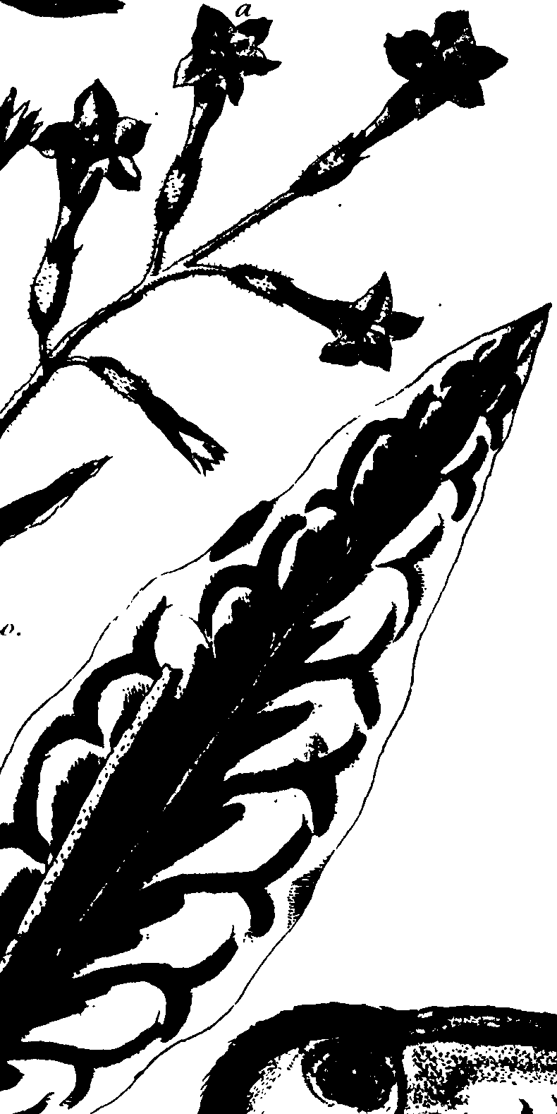 073/073070010007540_1.png
