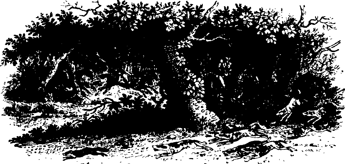 073/073090020000750_0.png