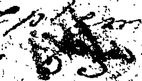 073/073160050000010_1.png