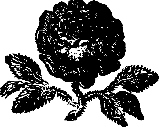 073/073200100003000_0.png