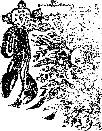 073/073220080000040_0.png