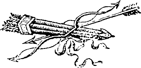 073/073360020000620_0.png