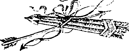 073/073360020001790_0.png