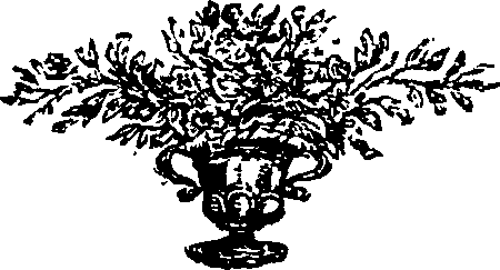073/073390020000980_0.png