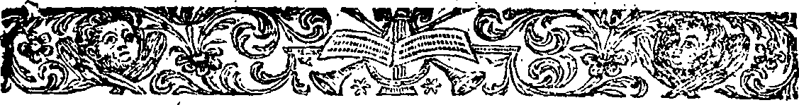 073/073390020000990_0.png