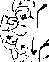 073/073390110102500_0.png