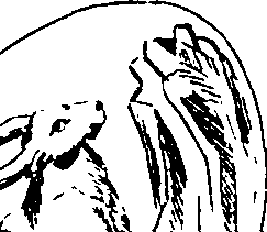 073/073390110103830_7.png
