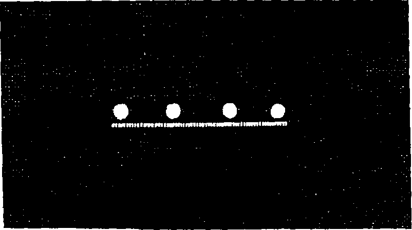 073/073390110104160_3.png