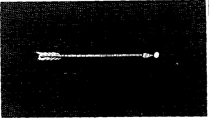 073/073390110104160_7.png