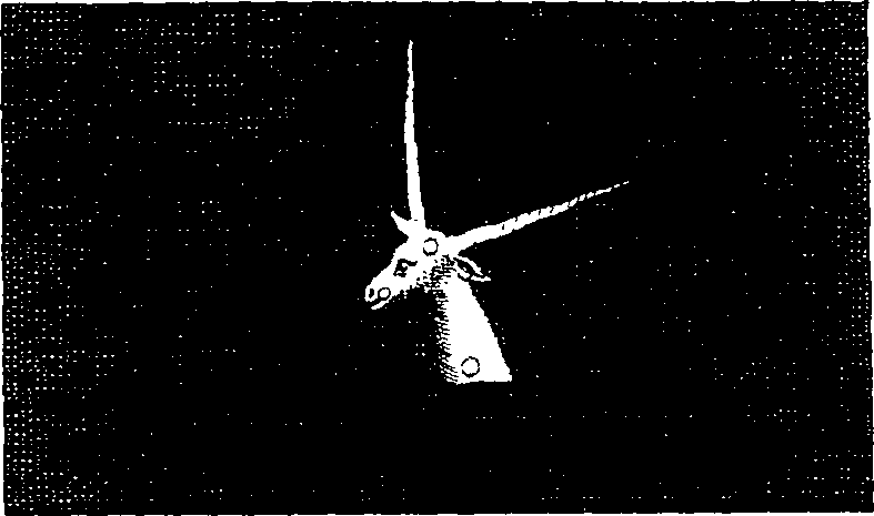 073/073390110104160_8.png