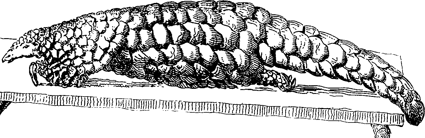 073/073390110105850_0.png