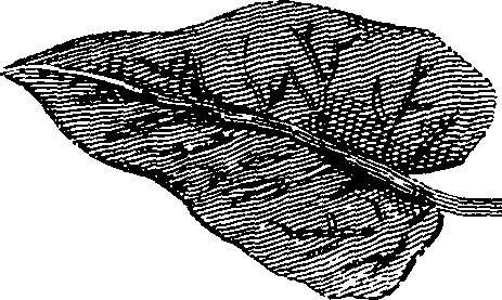 073/073400010200130_0.png