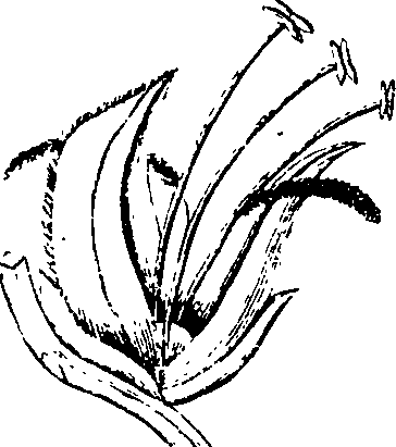 073/073400010200650_0.png