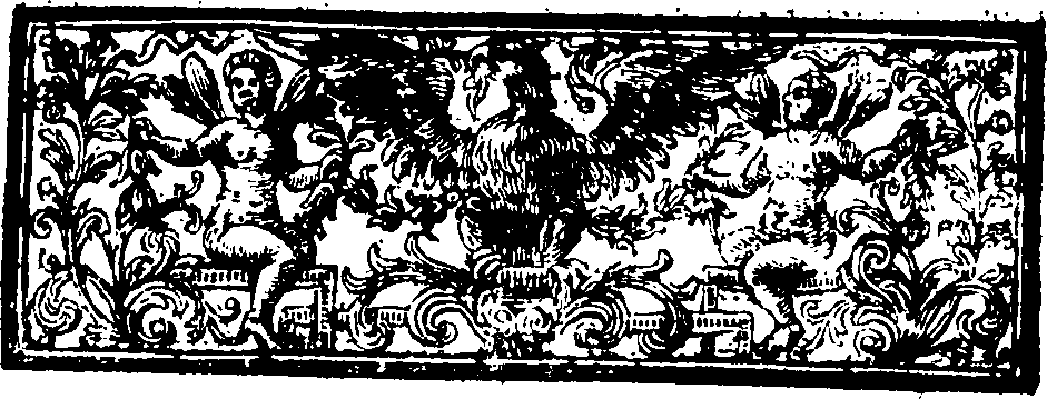 073/073430080000740_2.png