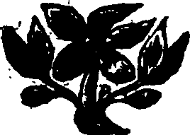 073/073440010000340_0.png