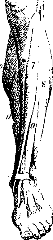 073/073460040000220_0.png