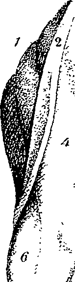 073/073460040000220_1.png