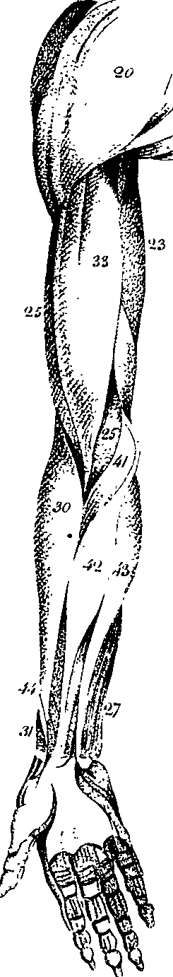 073/073460040000240_0.png