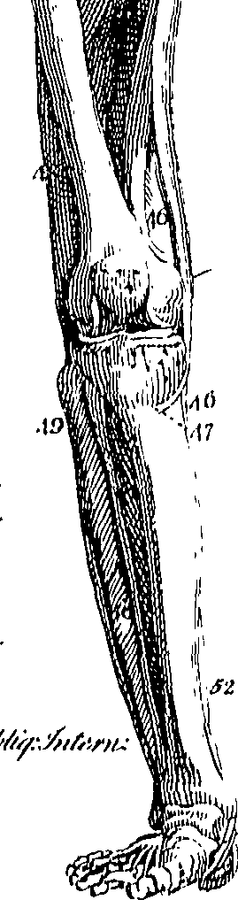 073/073470010006200_0.png