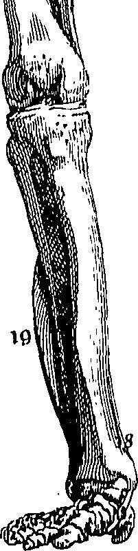 073/073470010006210_0.png