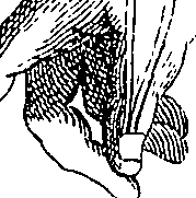 073/073470010006260_0.png