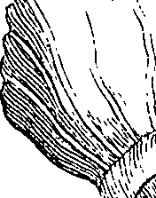 073/073470010006260_1.png