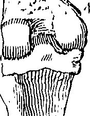 073/073470010006280_0.png