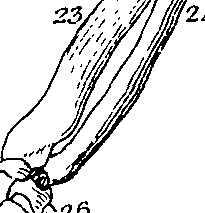 073/073470010006280_1.png