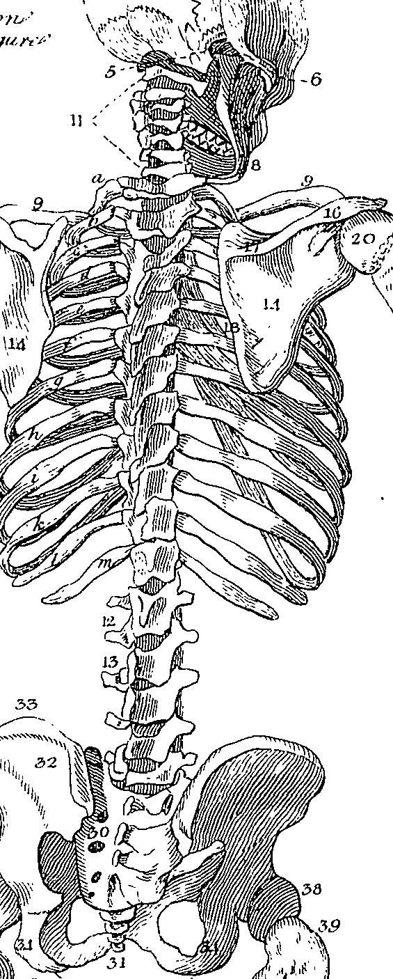 073/073470010006280_2.png