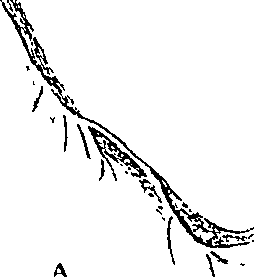 073/073470010006350_1.png