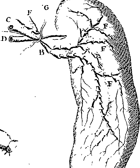 073/073470010006350_2.png