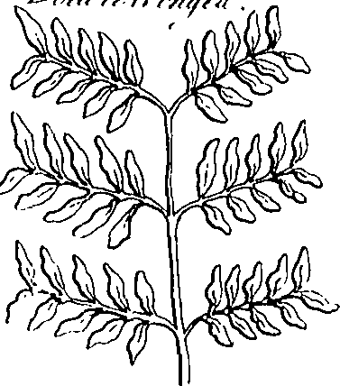 073/073470010006380_0.png