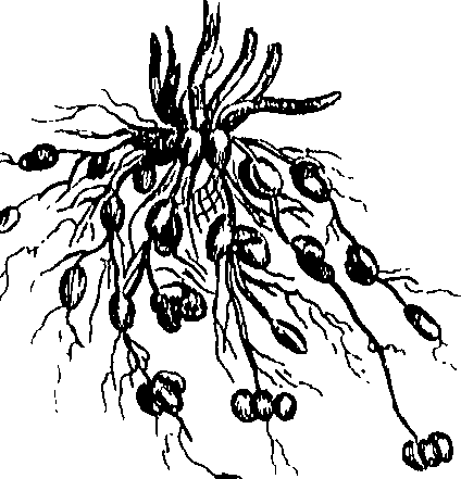 073/073470010006390_0.png
