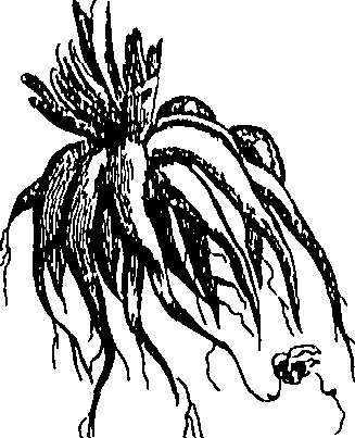073/073470010006390_1.png
