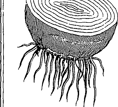 073/073470010006390_2.png