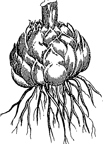 073/073470010006390_3.png