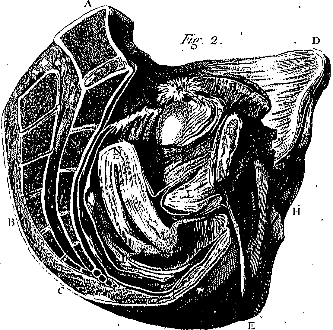 073/073470020007520_0.png