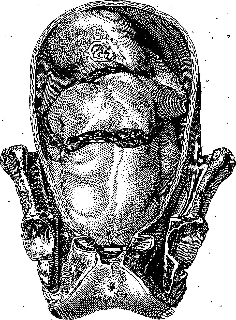 073/073470020007560_1.png