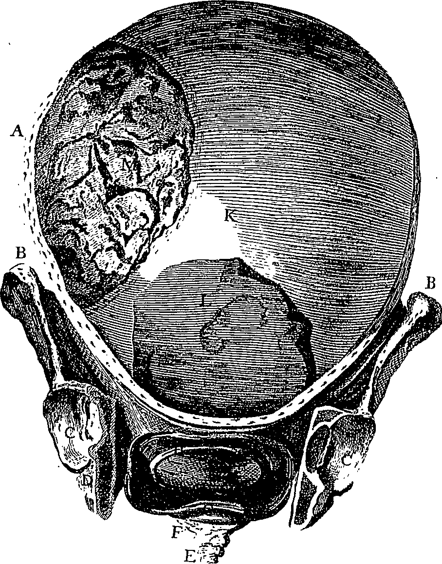 073/073470020007590_1.png