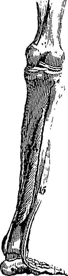073/073470020007680_0.png
