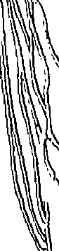073/073470020007780_0.png