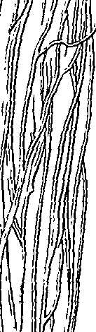 073/073470020007780_1.png