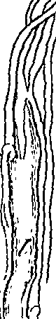 073/073470020007780_2.png