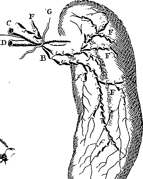 073/073470020007800_1.png